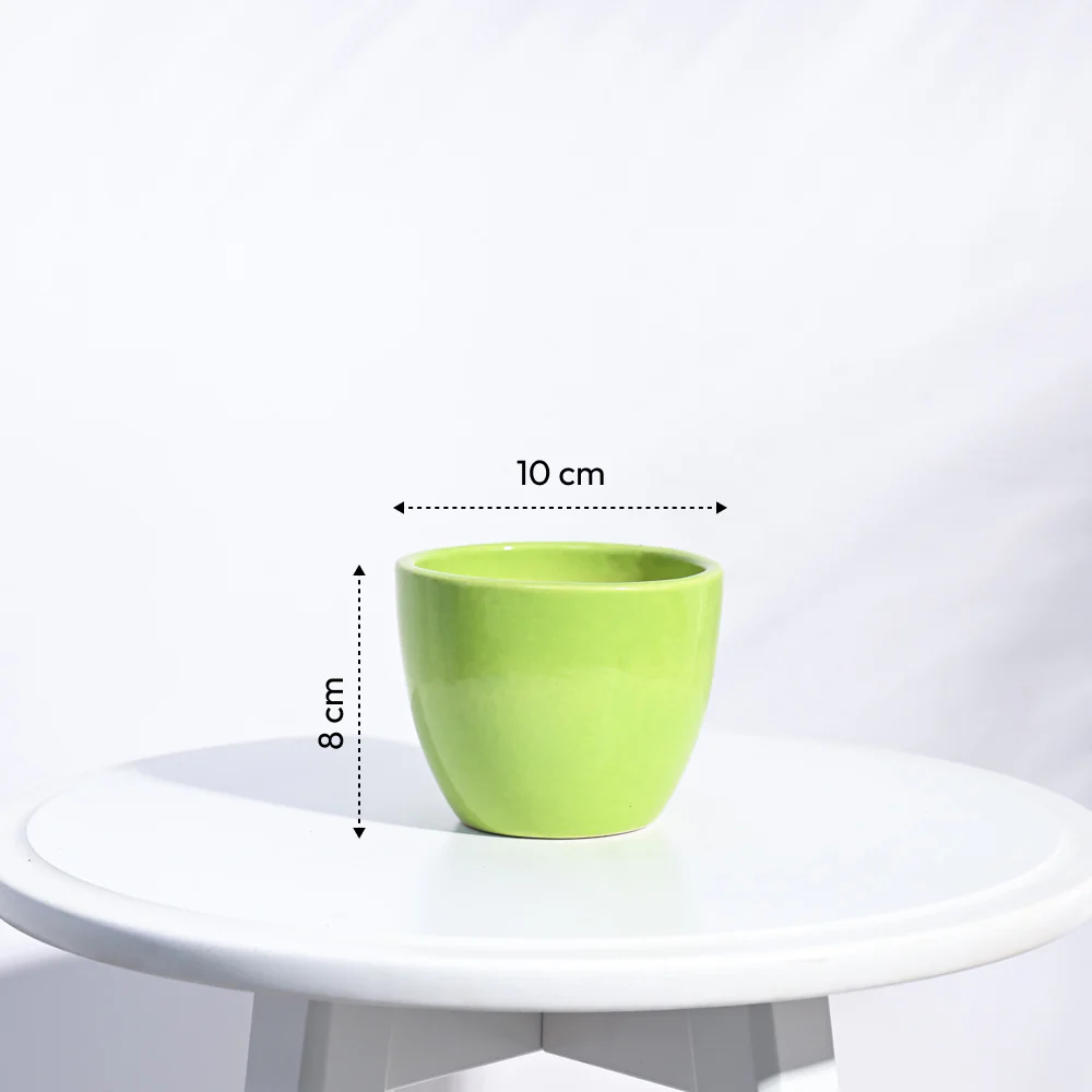 Apple Ceramic Pot (3.8 Inch Diameter) - Image 10