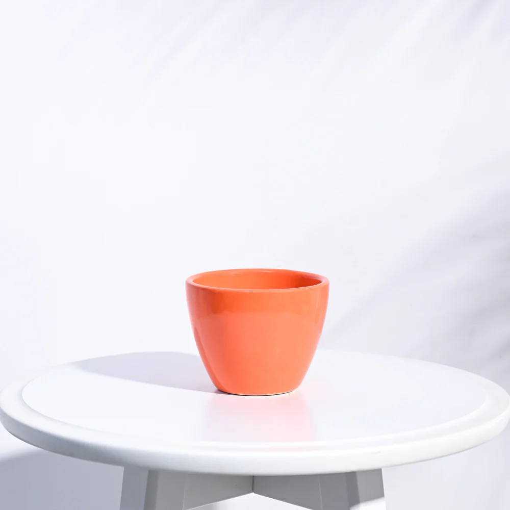 Apple Ceramic Pot (3.8 Inch Diameter) - Image 16
