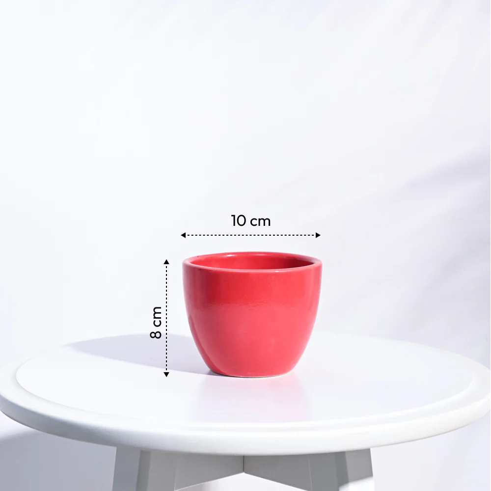 Apple Ceramic Pot (3.8 Inch Diameter) - Image 20