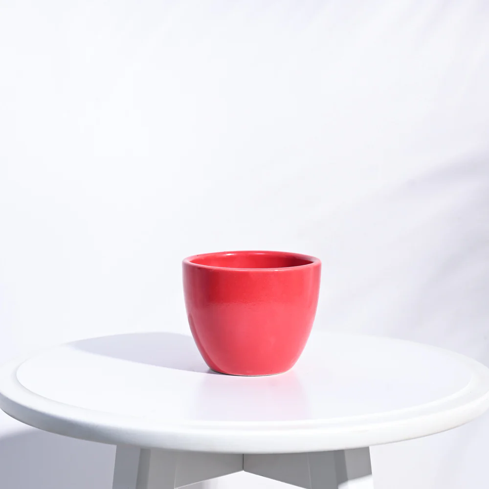 Apple Ceramic Pot (3.8 Inch Diameter) - Image 21