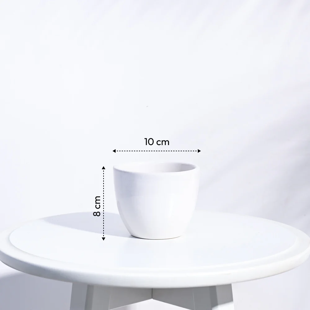 Apple Ceramic Pot (3.8 Inch Diameter) - Image 35