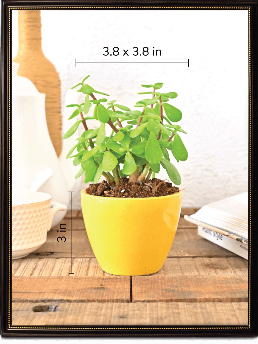 Apple Ceramic Pot (3.8 Inch Diameter) - Image 7