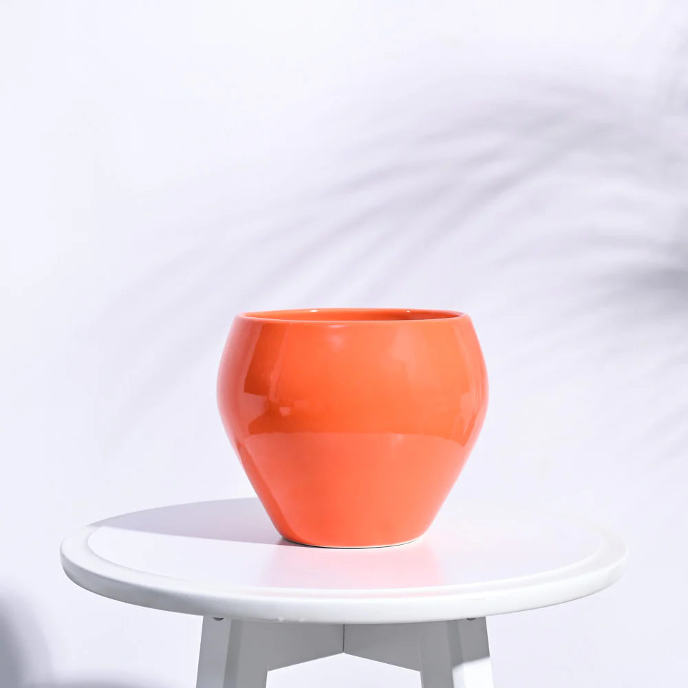 Apple Ceramic Pot (6.6 Inch Diameter) - Image 18