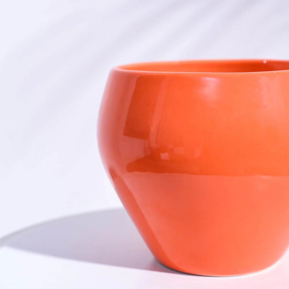 Apple Ceramic Pot (6.6 Inch Diameter) - Image 19
