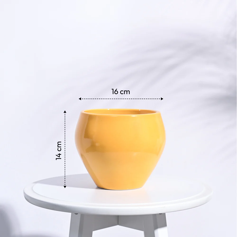 Apple Ceramic Pot (6.6 Inch Diameter) - Image 32