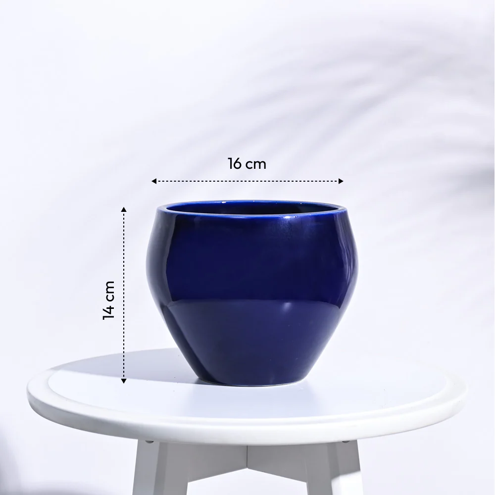 Apple Ceramic Pot (6.6 Inch Diameter) - Image 7