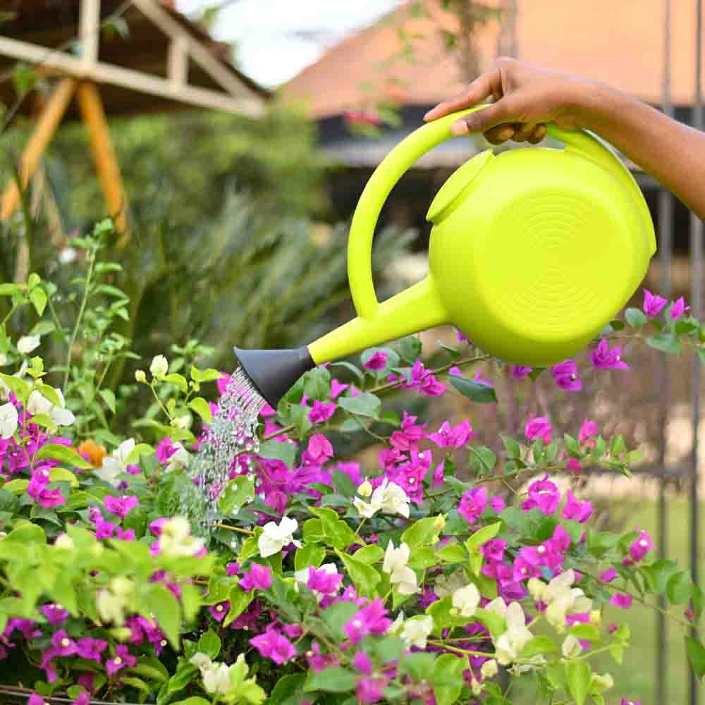 Premium Garden Watering Can For Plants 5 Litre - Image 10