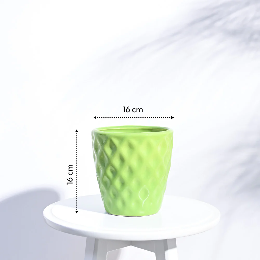 Argyle Ceramic Pot (6.2 Inch Diameter) - Image 7