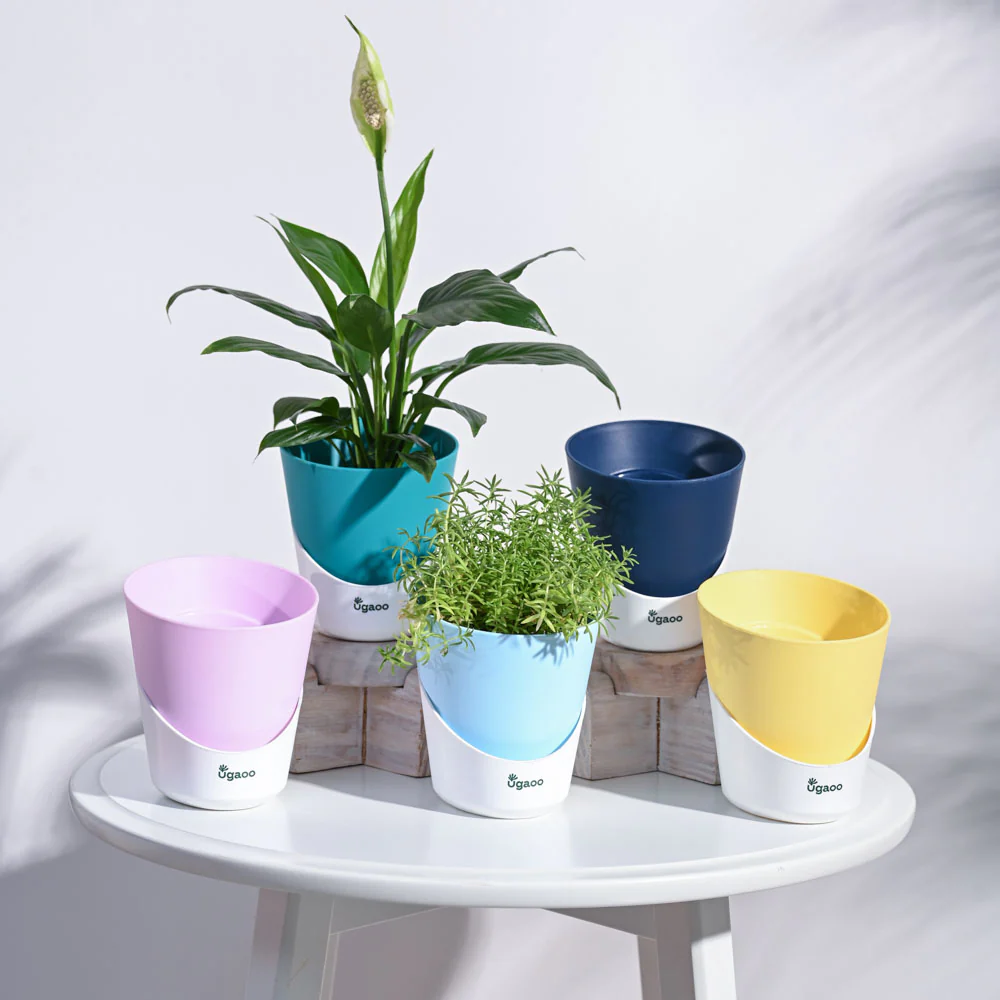 Atlantis Self Watering Planter - 4 Inch (Set of 5) - Image 2