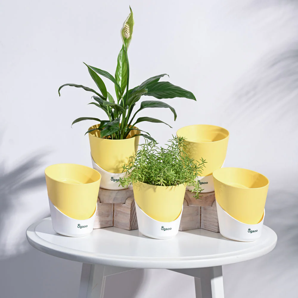 Atlantis Self Watering Planter - 4 Inch (Set of 5) - Image 27