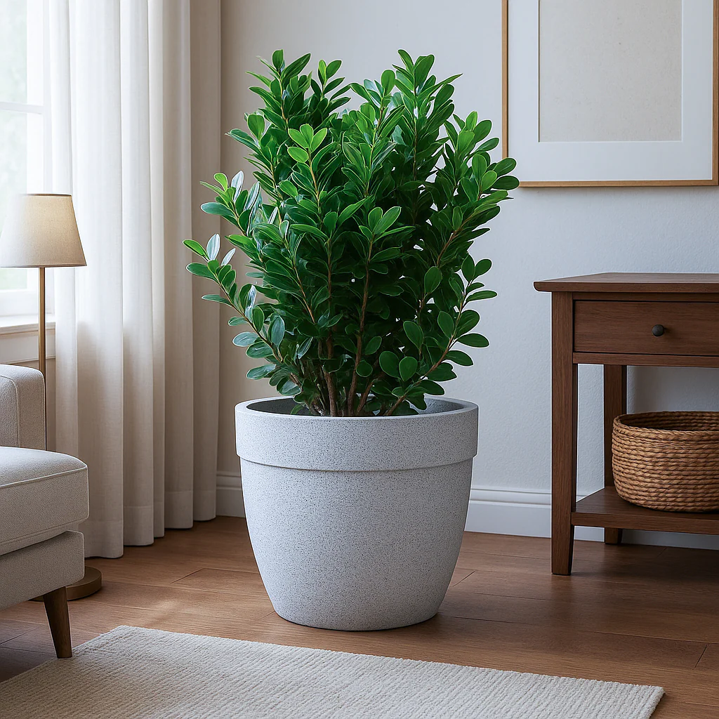 Barca Round Planter - Image 36
