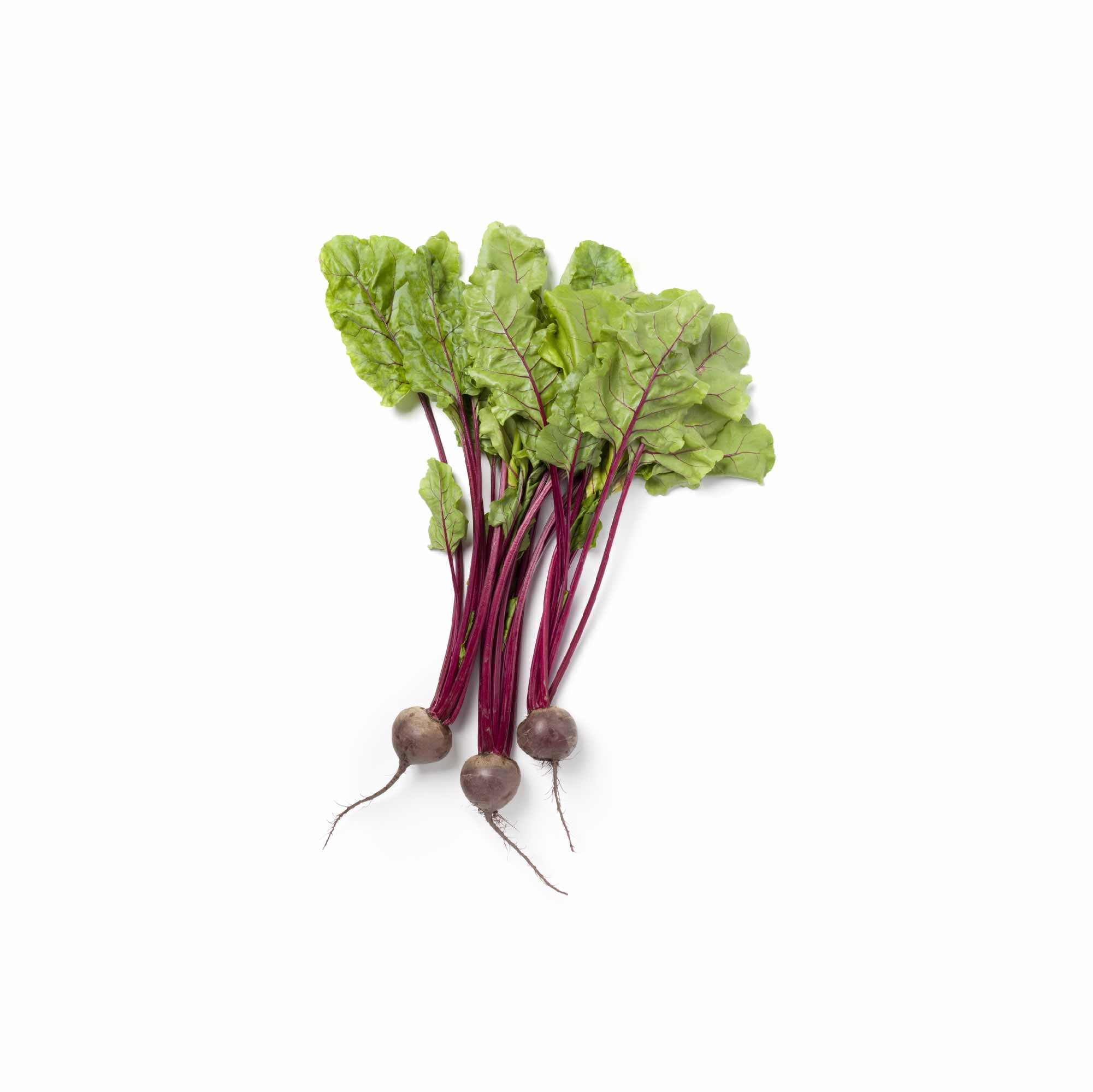 Beetroot Seeds - Image 27