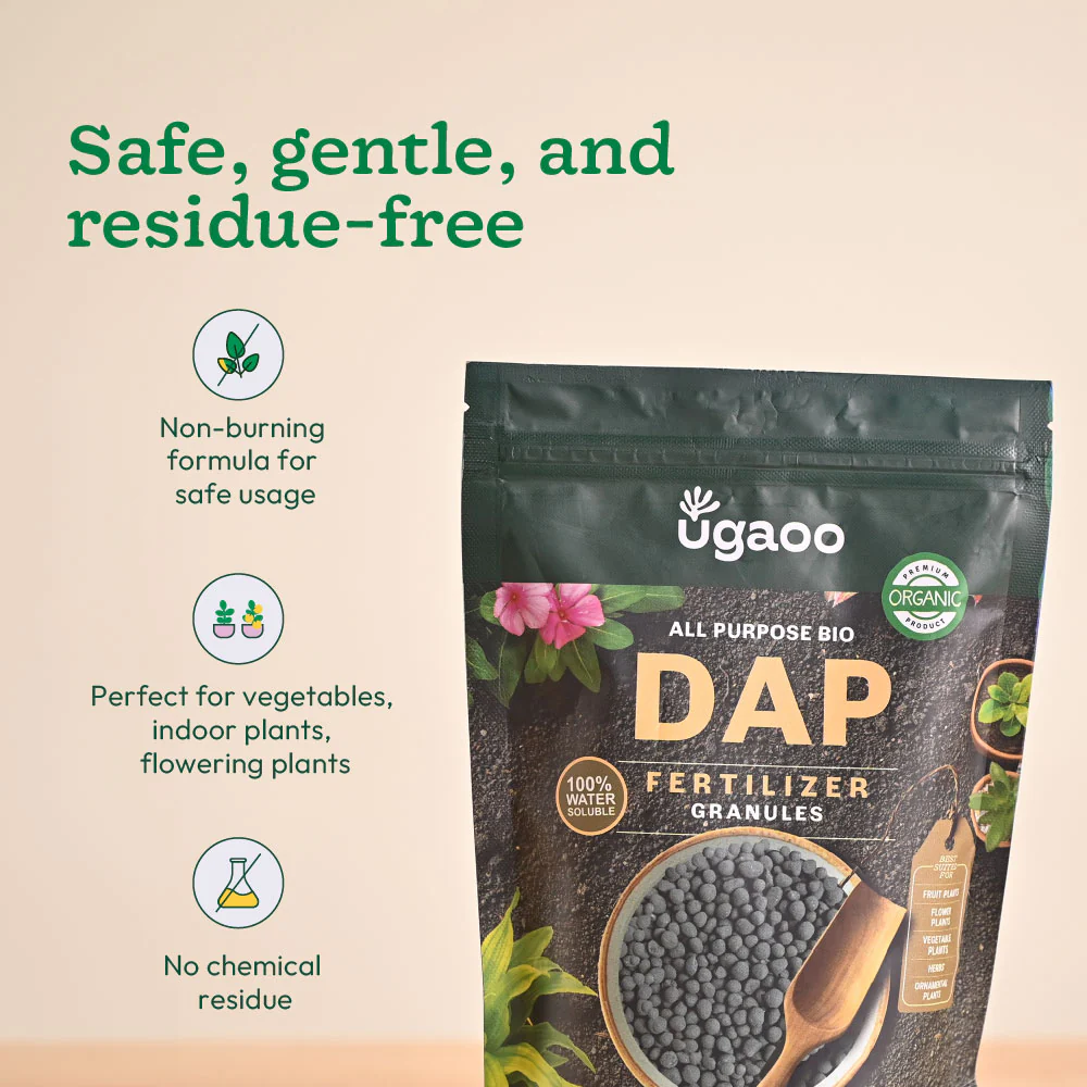 Bio DAP Fertilizer for Plants - Image 5