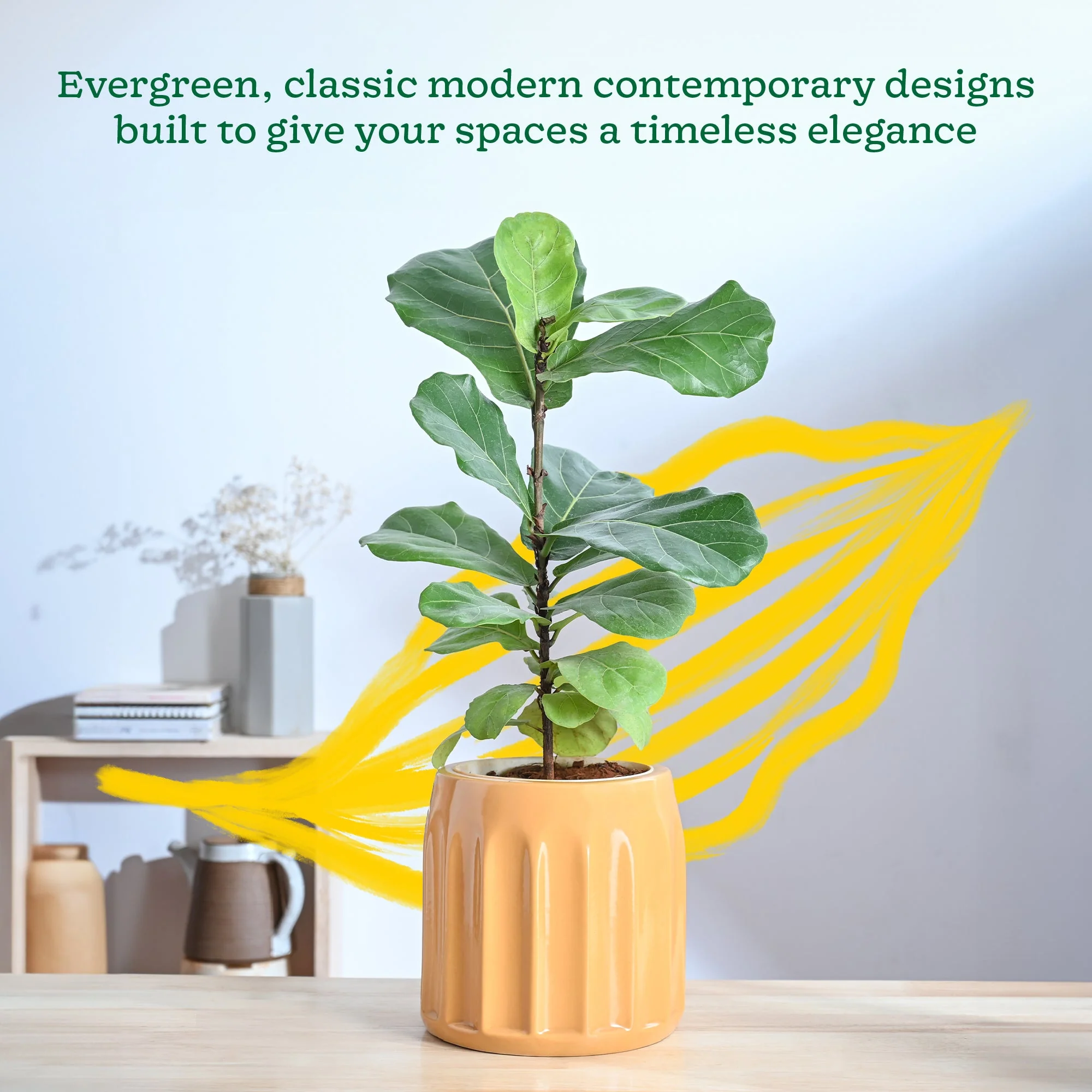 Blushing Sun Ceramic Planter - Image 16