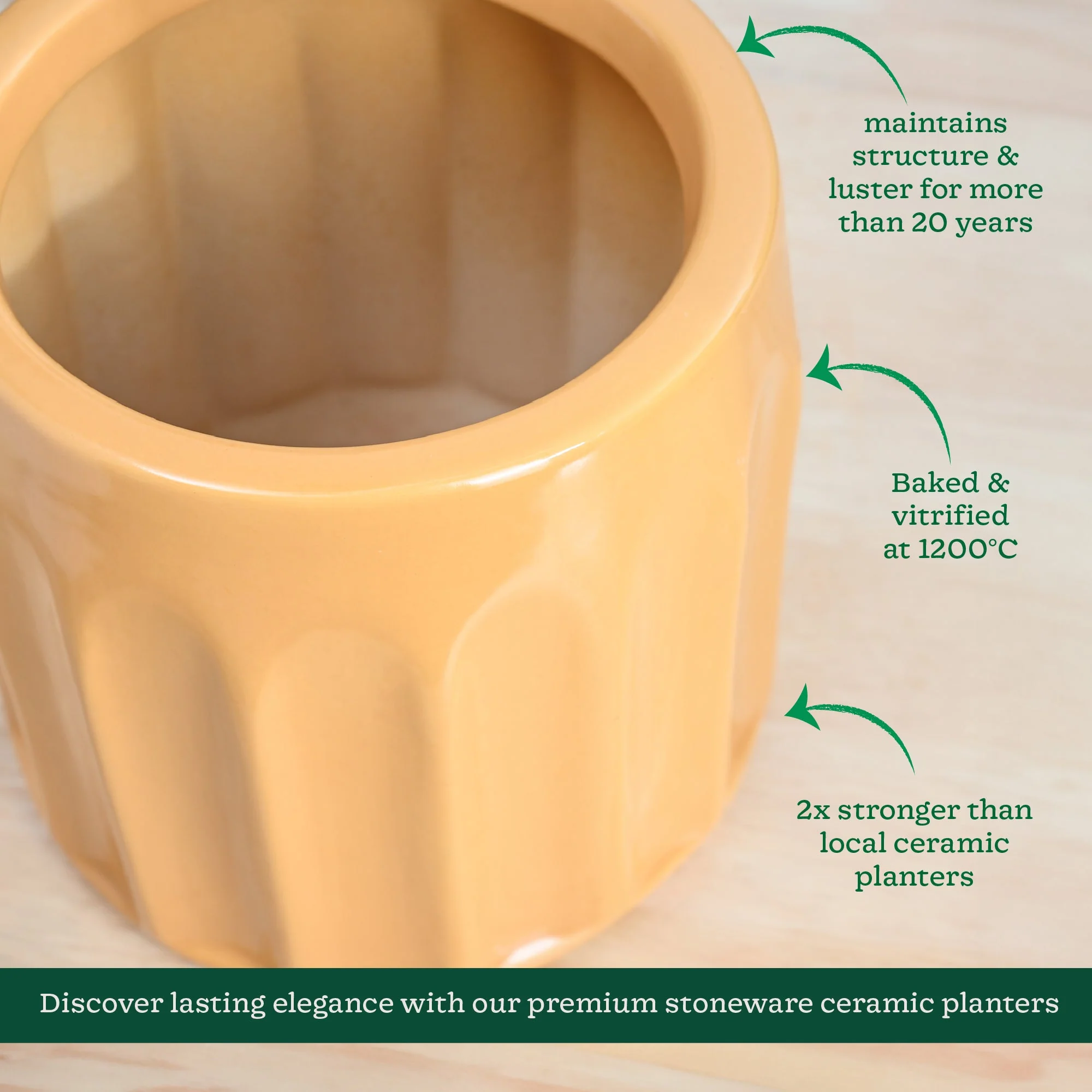 Blushing Sun Ceramic Planter - Image 19