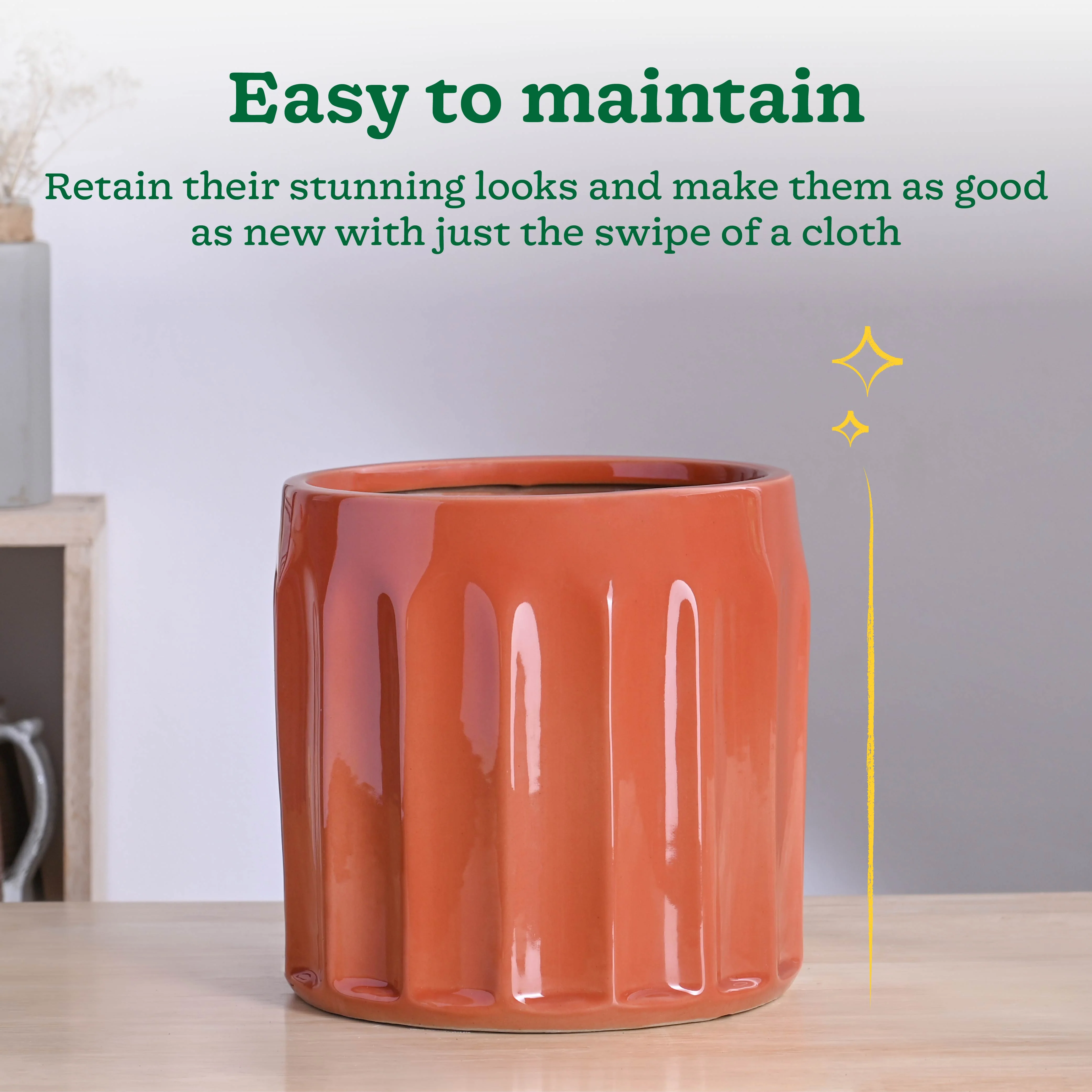 Blushing Sun Ceramic Planter - Image 32