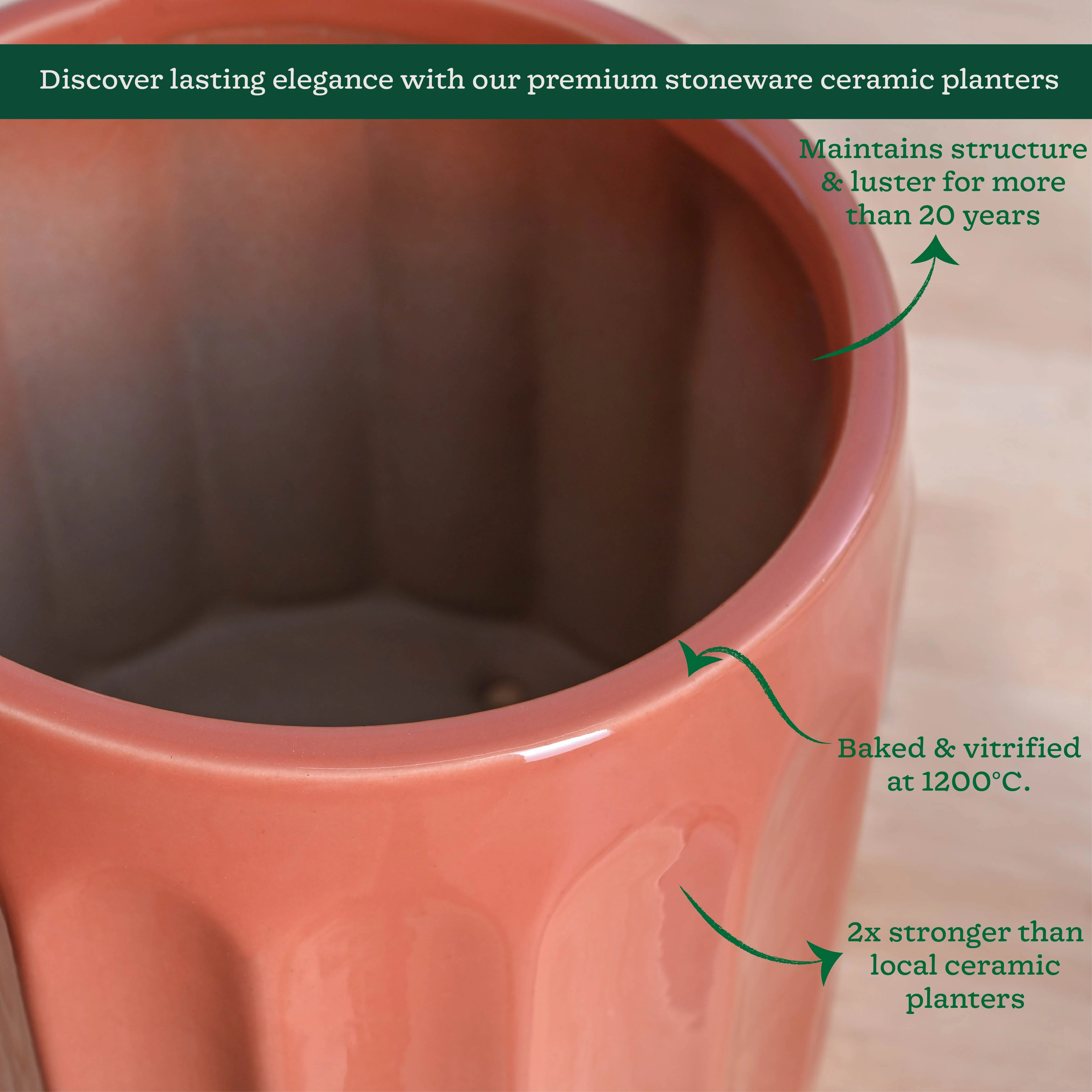 Blushing Sun Ceramic Planter - Image 33
