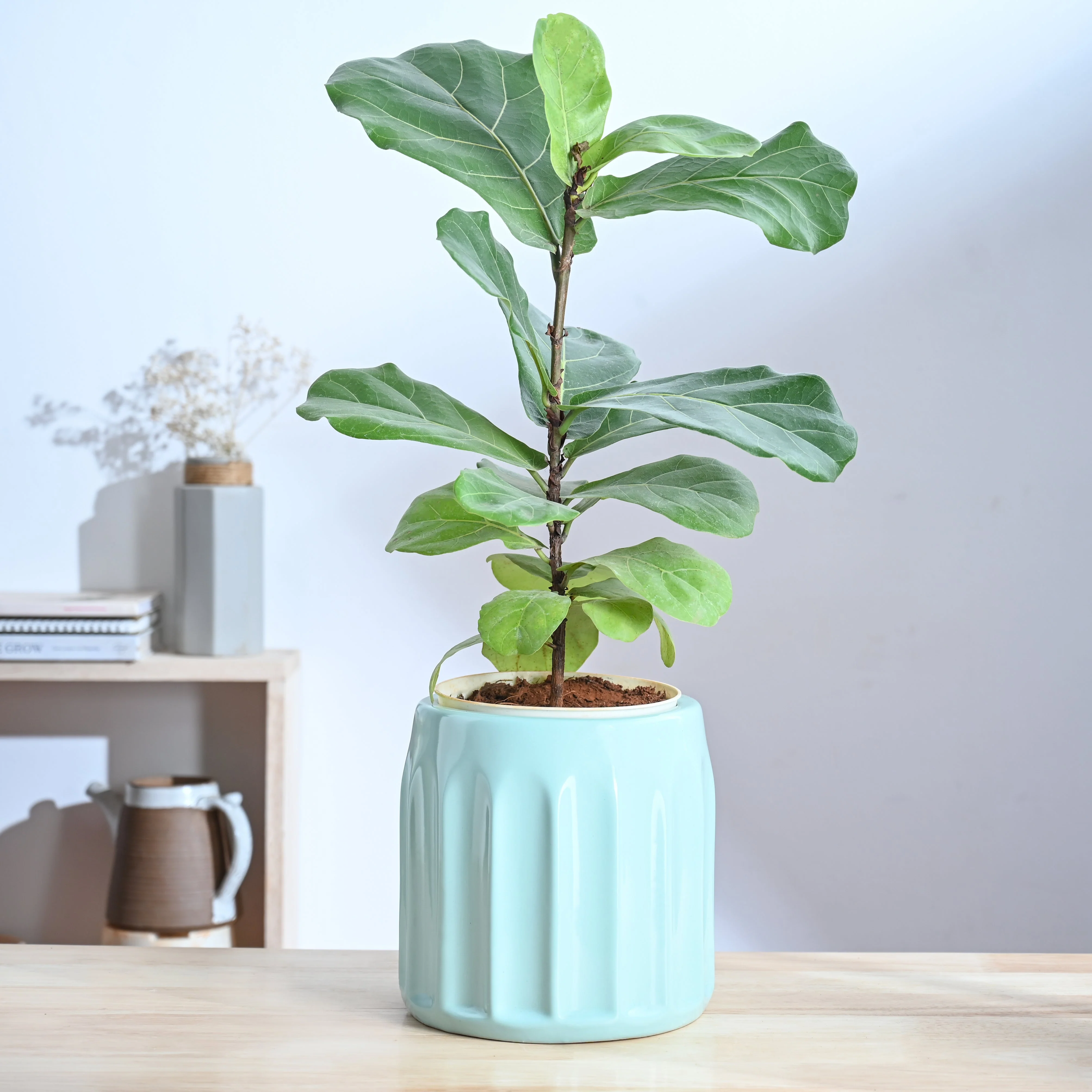 Blushing Sun Ceramic Planter - Image 8