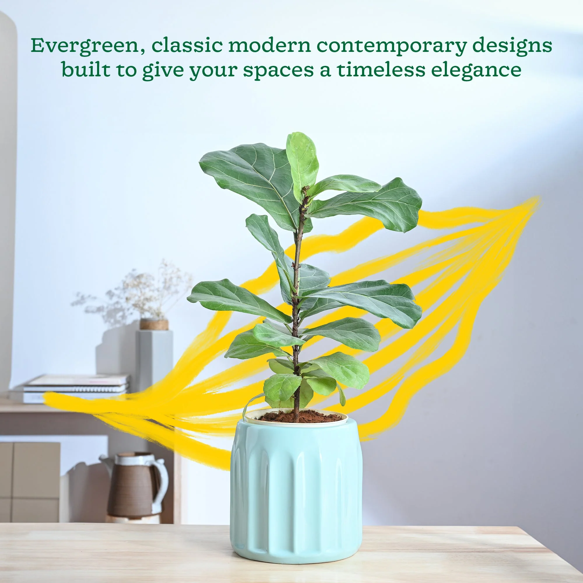 Blushing Sun Ceramic Planter - Image 9