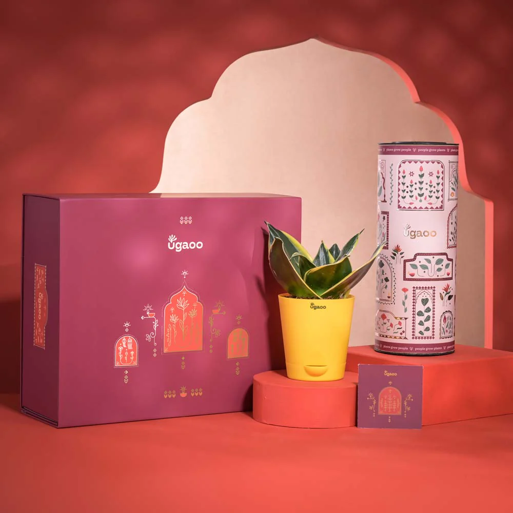 Breath of Air Diwali Gift Hamper - Image 8