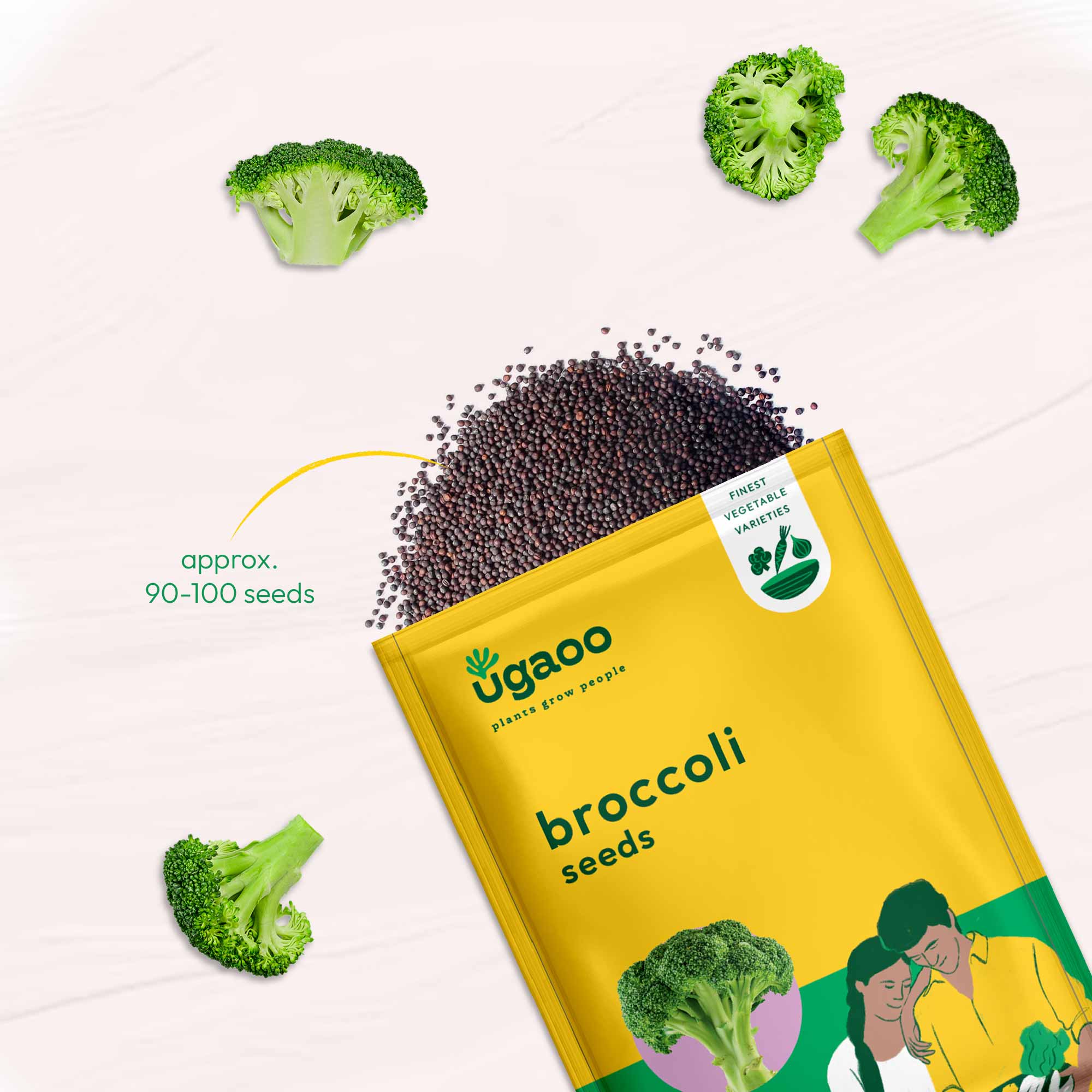 Broccoli Seeds - Image 3