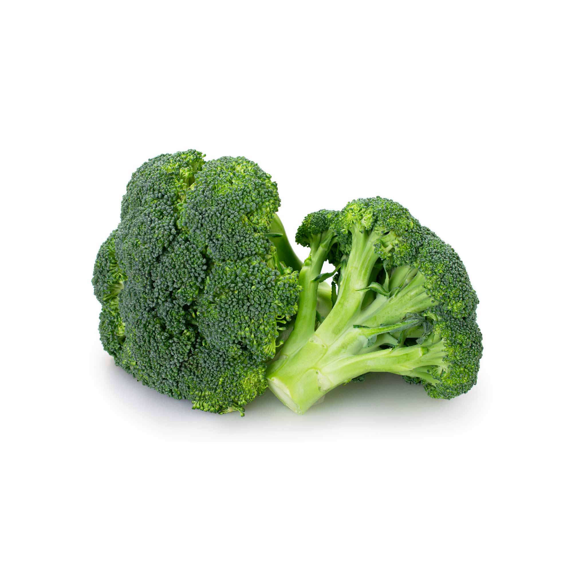 Broccoli Seeds - Image 9