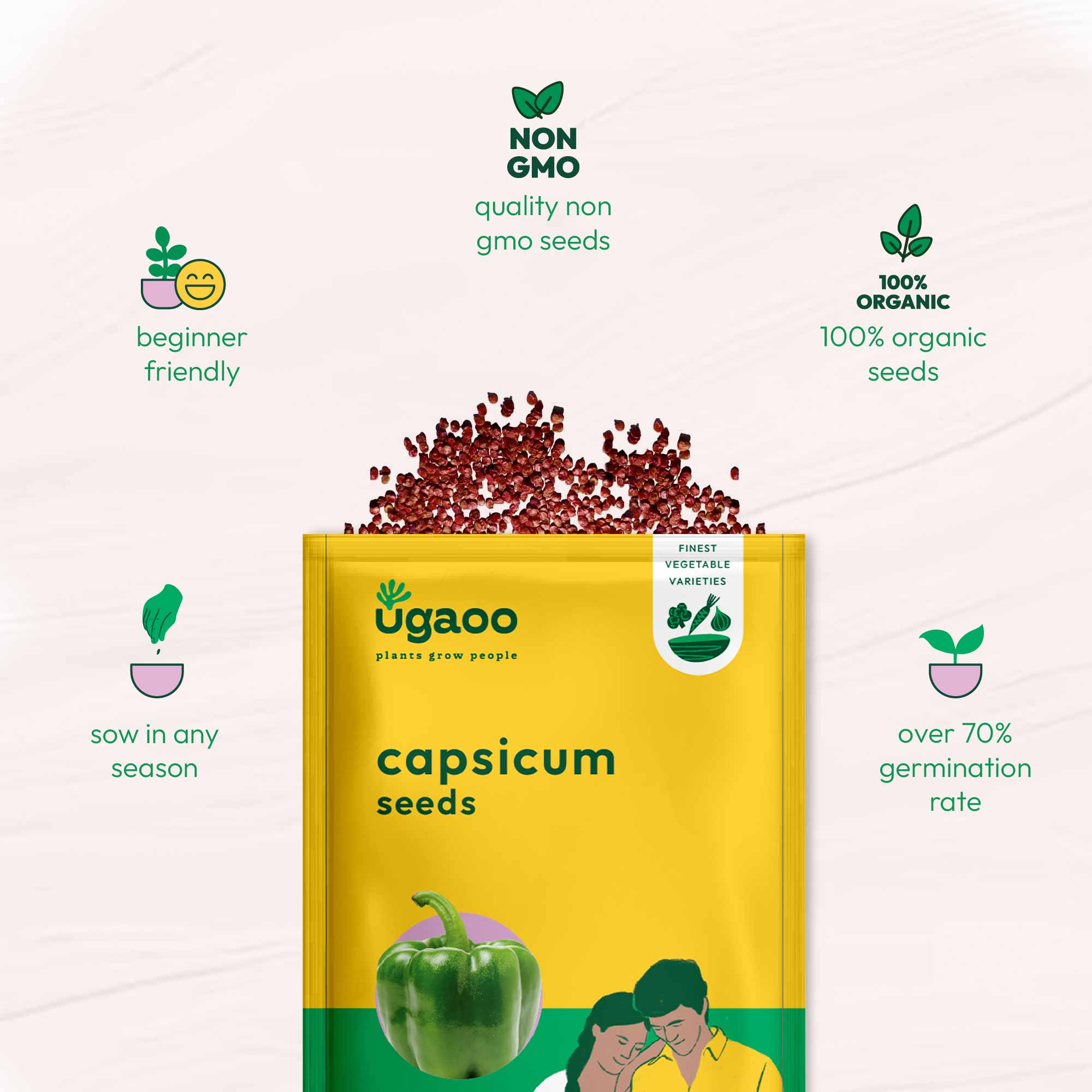 Capsicum Seeds - Image 6