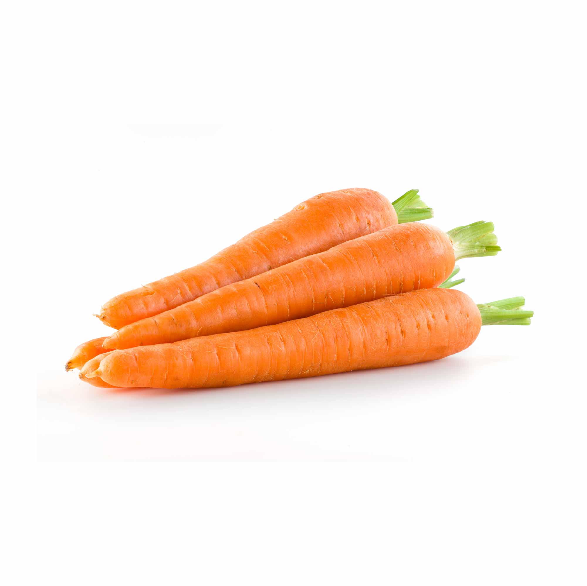 Carrot Nantes Seeds (Improved) - Image 9