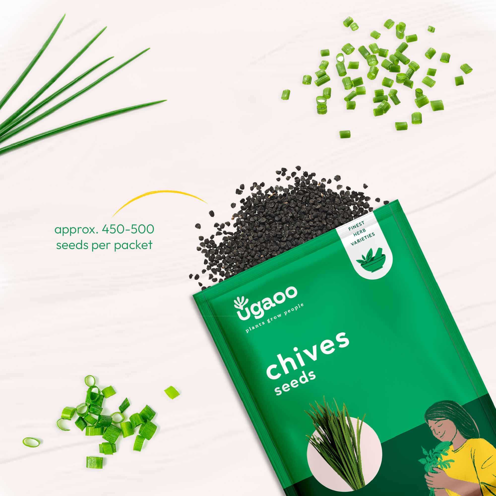 Chives Seeds - Image 3
