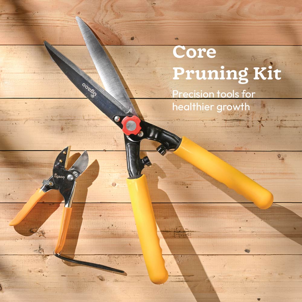 Core Pruning Kit - Image 2