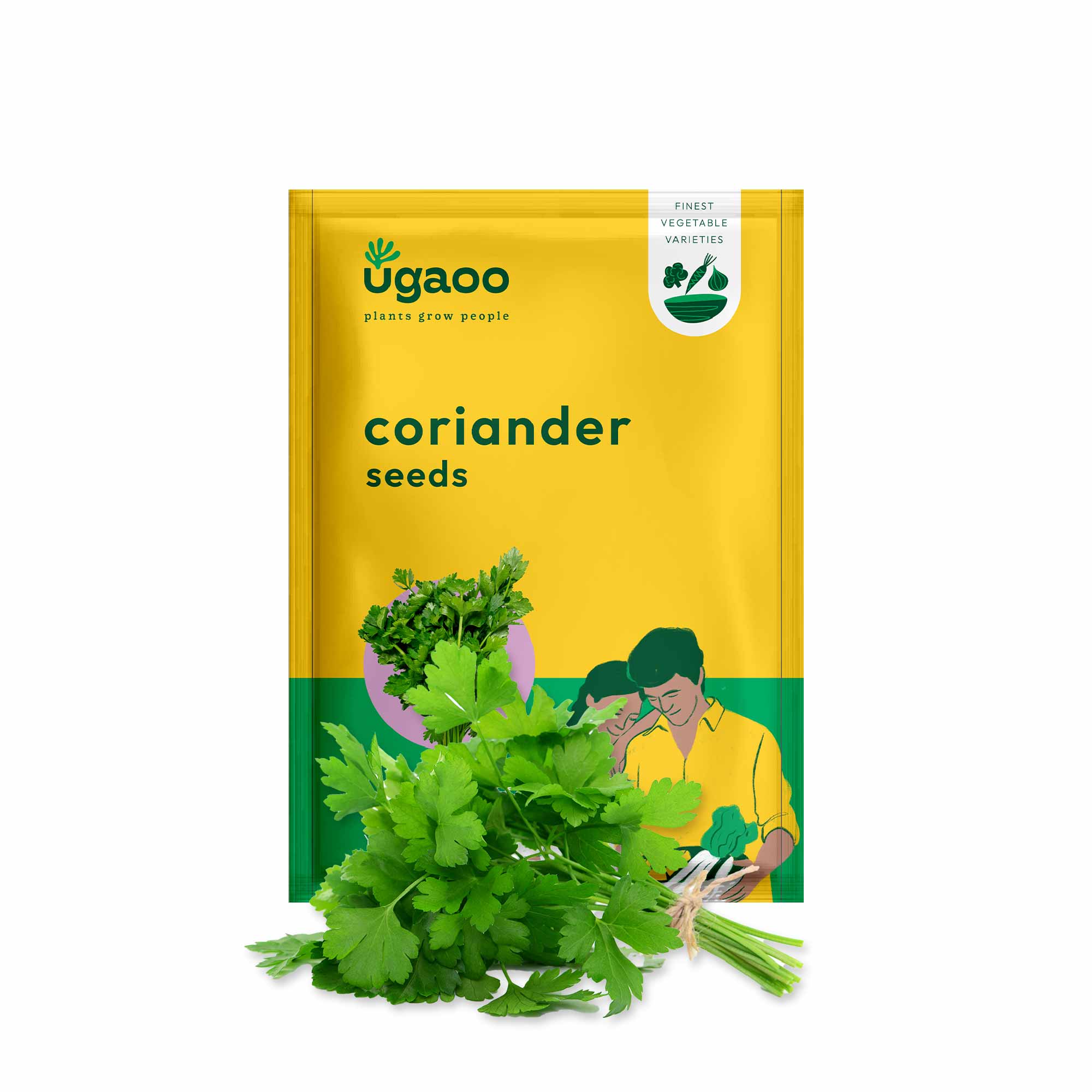 Coriander Seeds - Image 11
