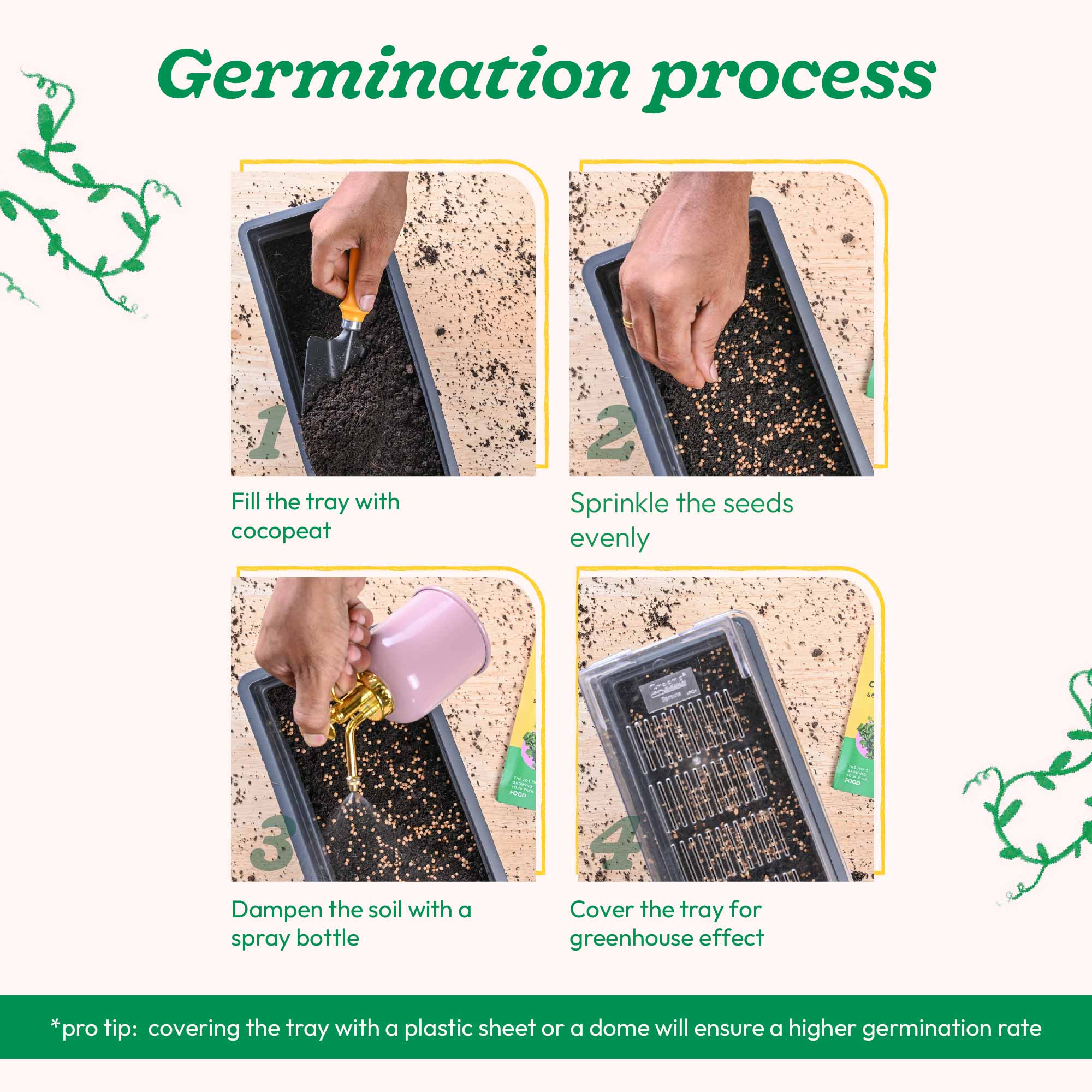 Coriander Seeds - Image 22