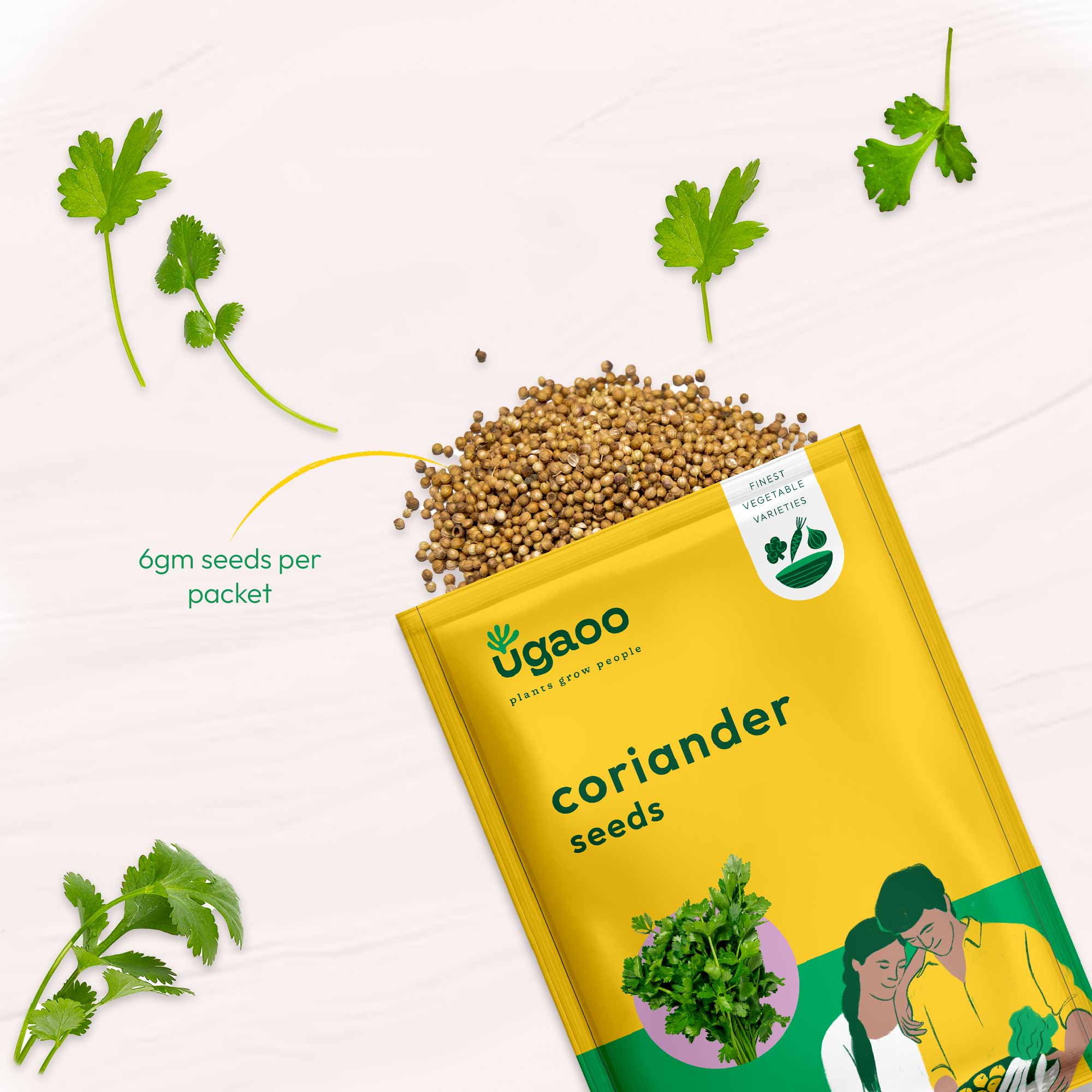 Coriander Seeds - Image 3