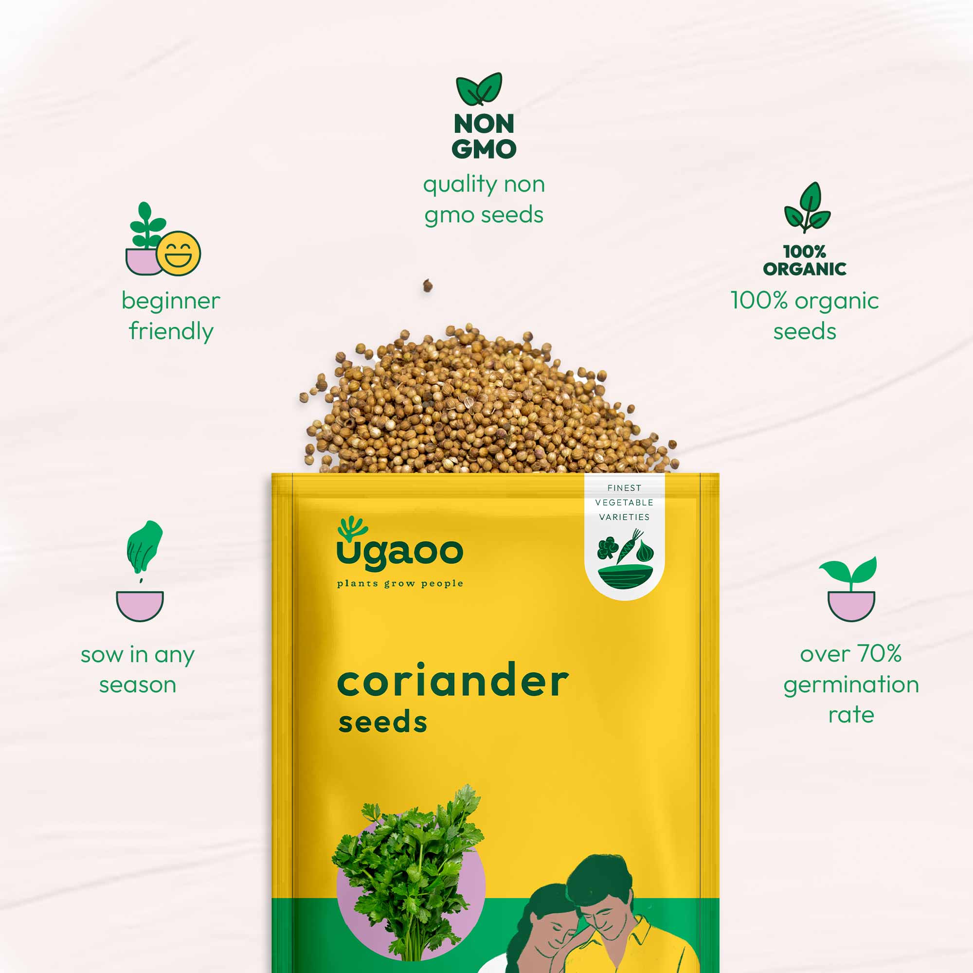 Coriander Seeds - Image 6