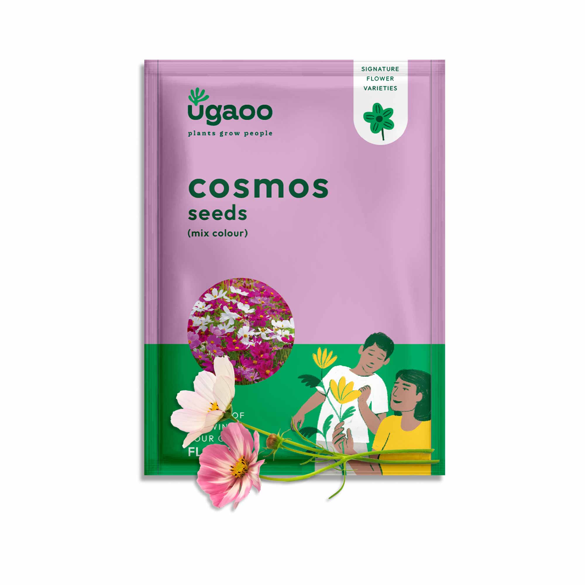Cosmos Mix Seeds - Image 11