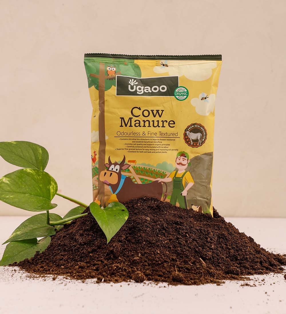 Cow Manure - Image 7