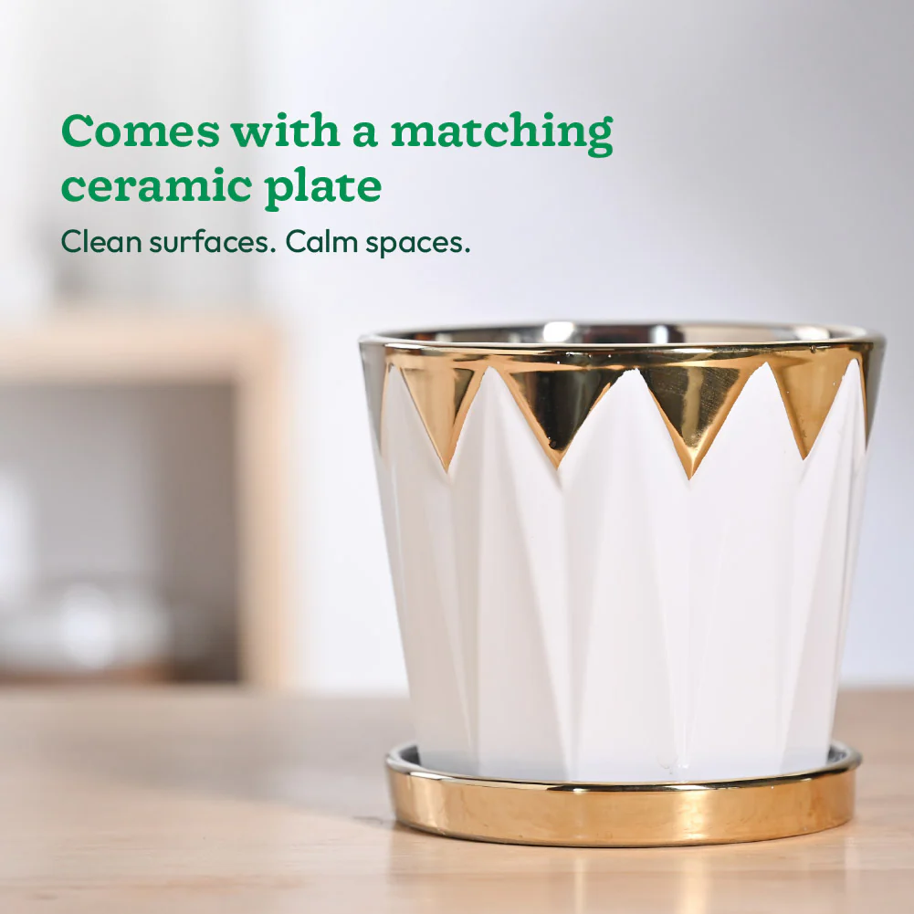 Crown ceramic pot - 5 inch - Image 7