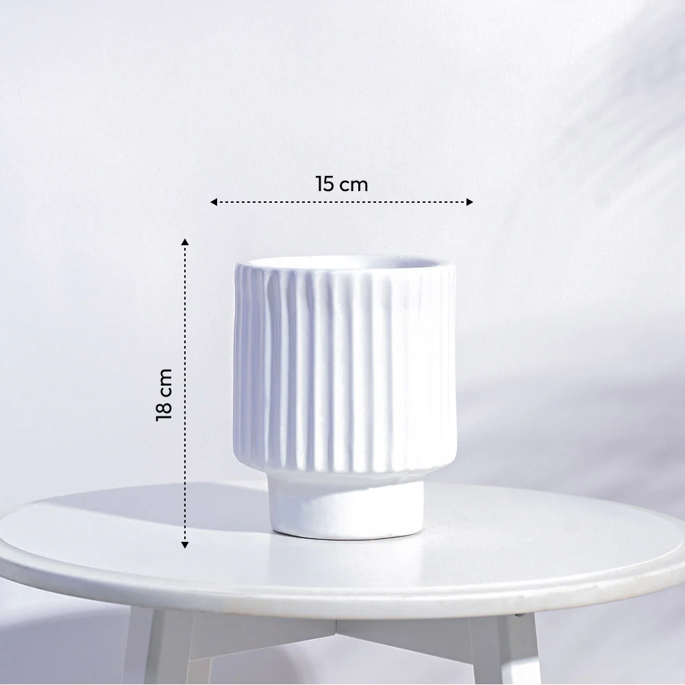 Dark Affinity Ceramic Pot - Image 17