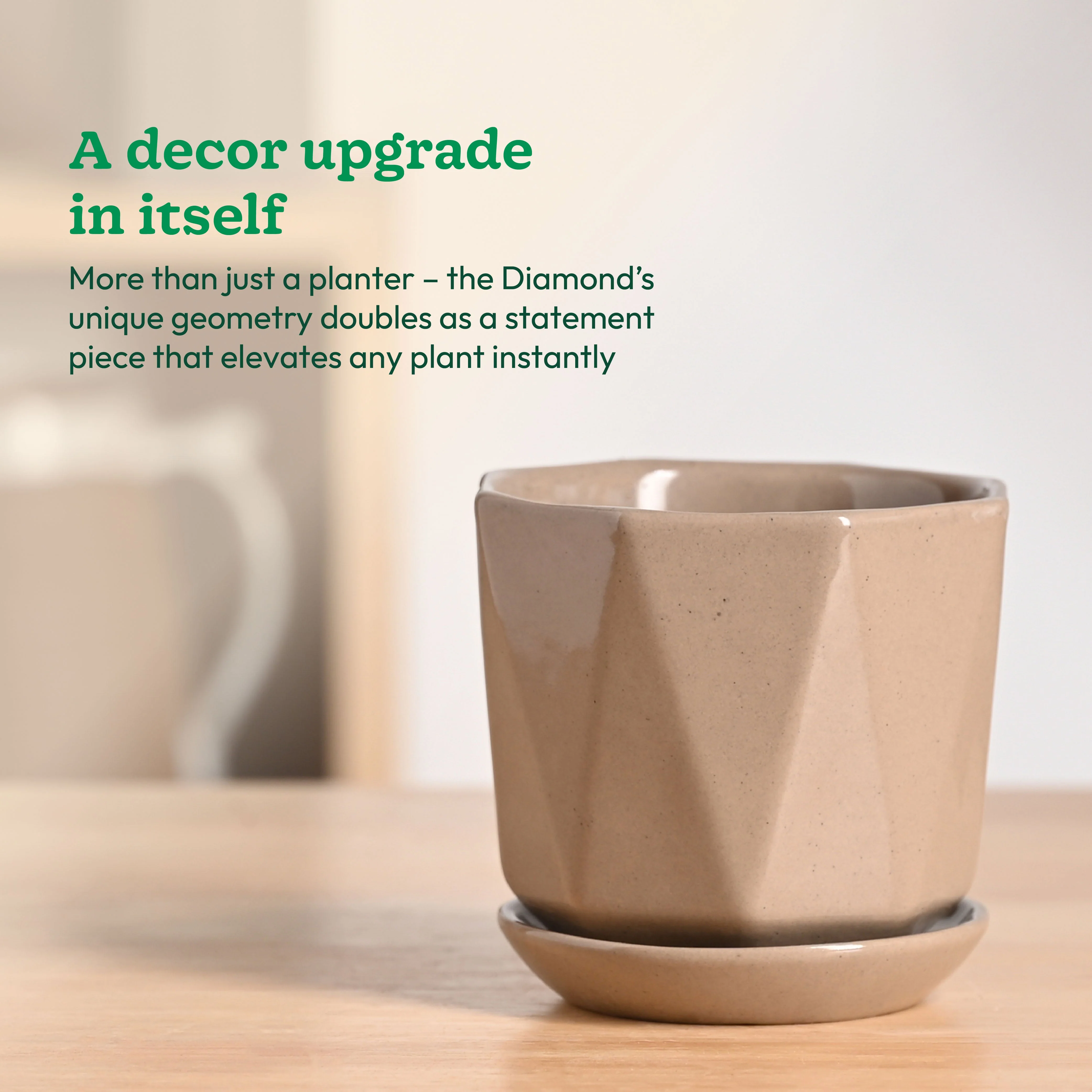 Diamond Ceramic Pot - Image 21