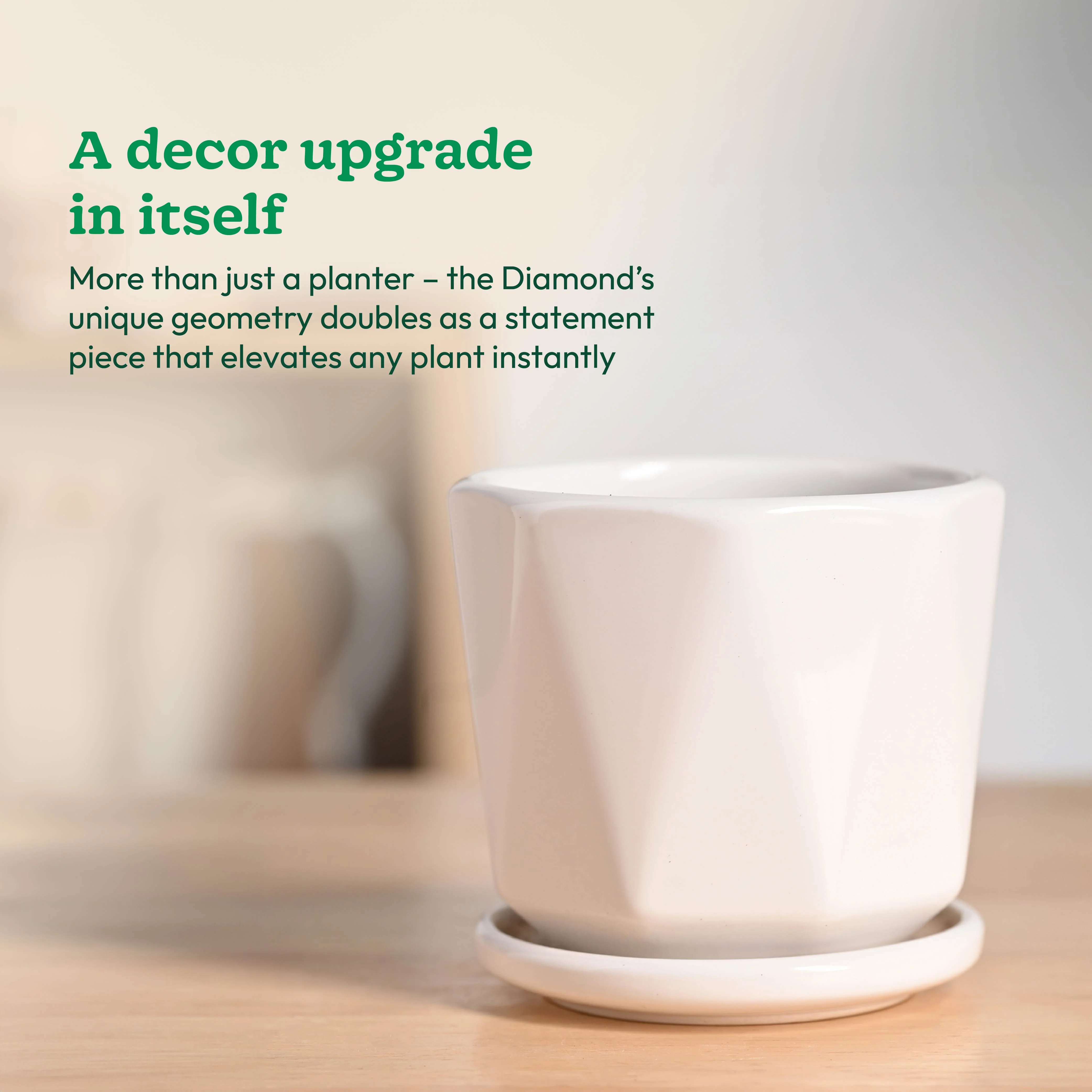 Diamond Ceramic Pot - Image 27