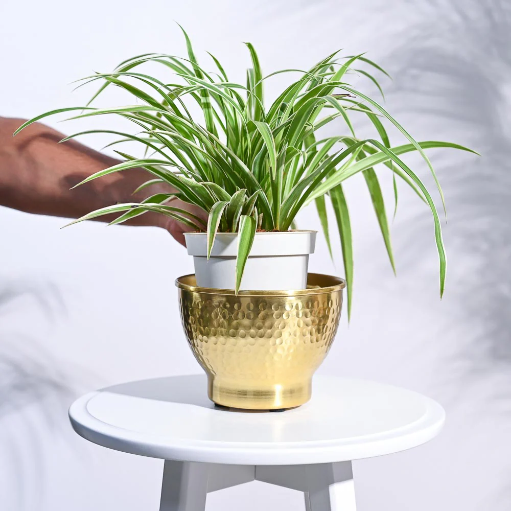 Elegance Planter - Image 3