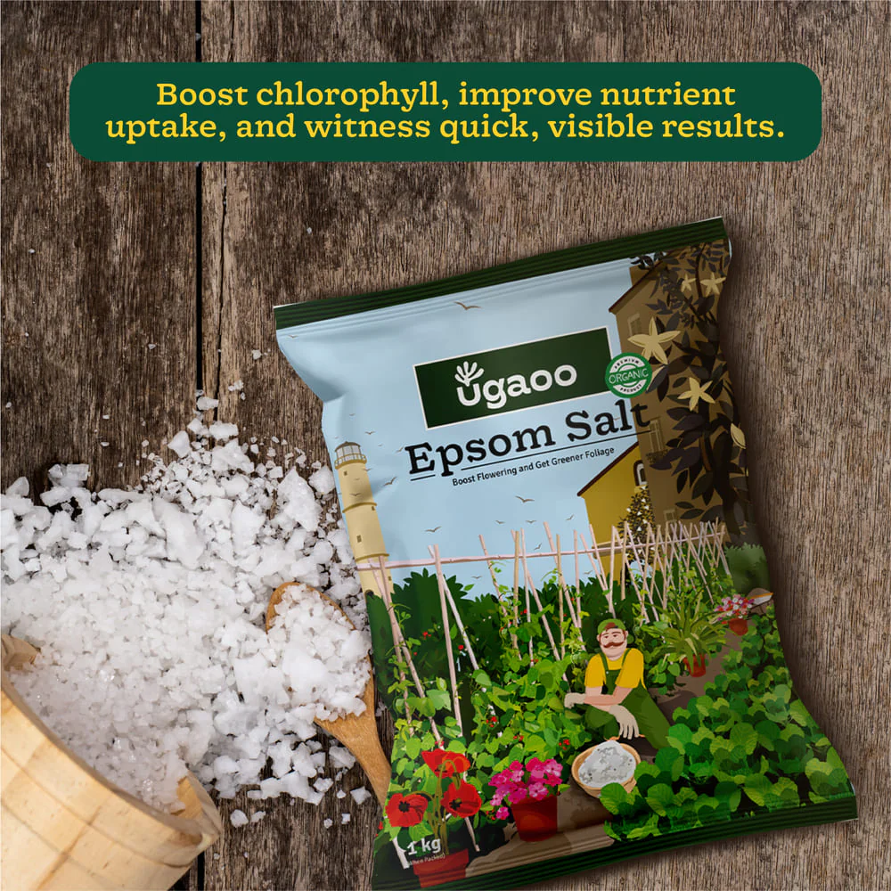 Epsom Salt - 1 kg - Image 6