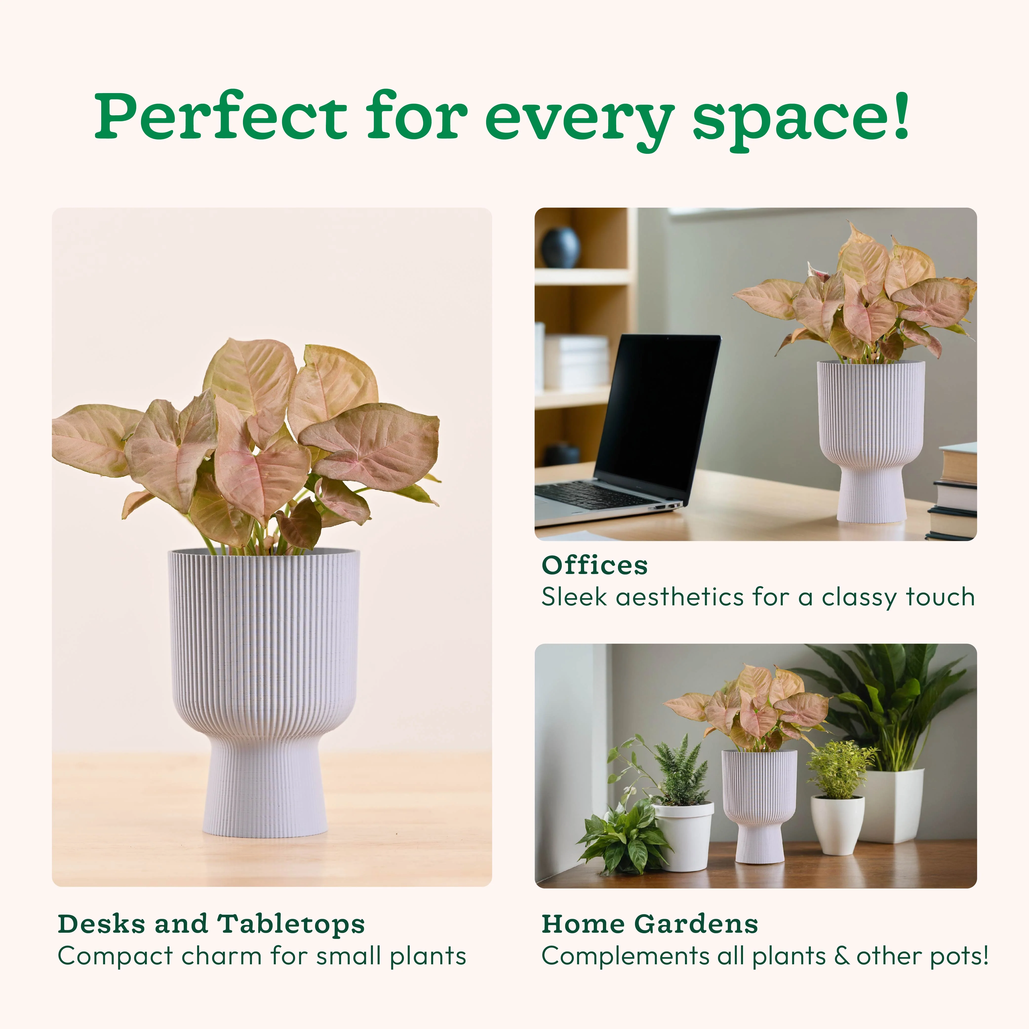 Erika Planter - Image 18