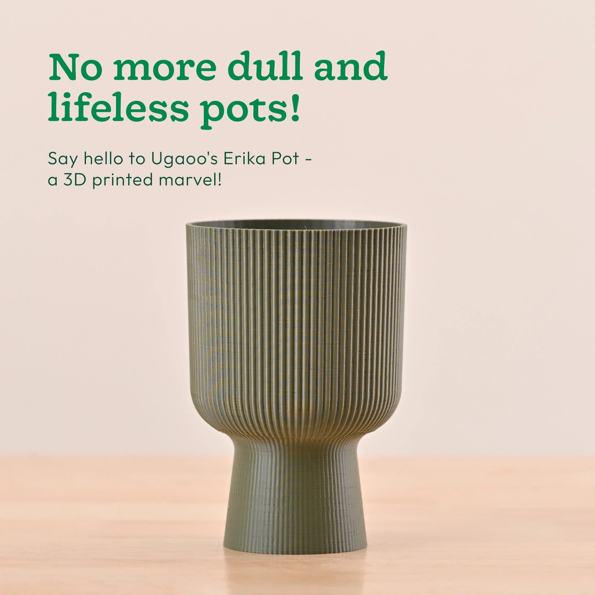 Erika Planter - Image 9