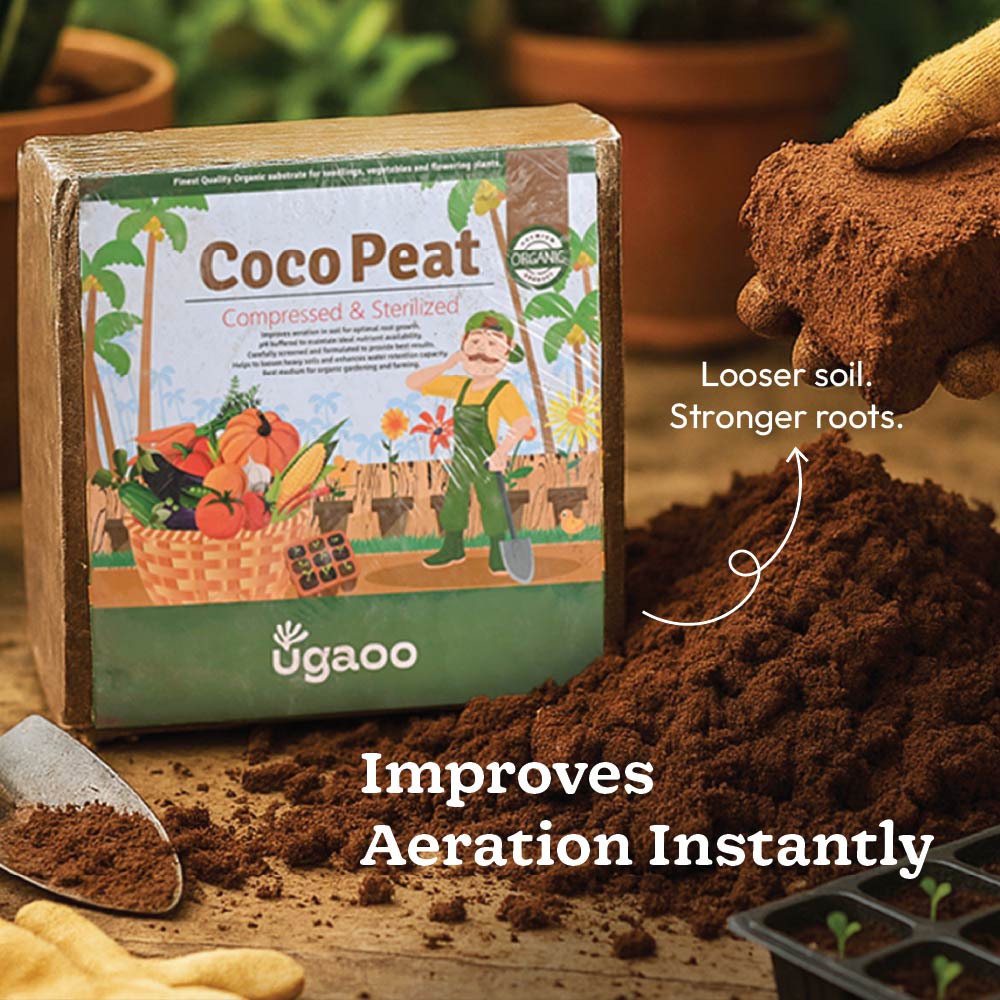 Essential Soil Boost Kit - Image 4