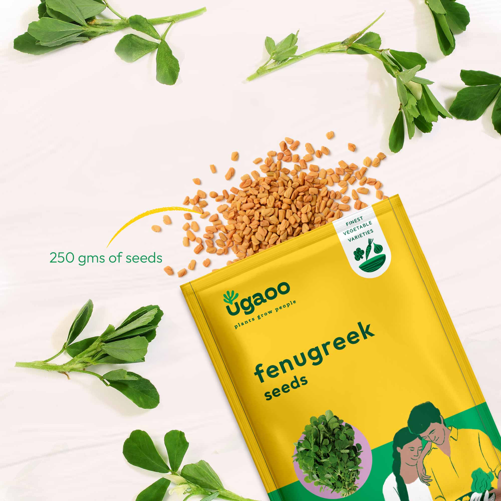 Fenugreek Seeds (Methi) - Image 12