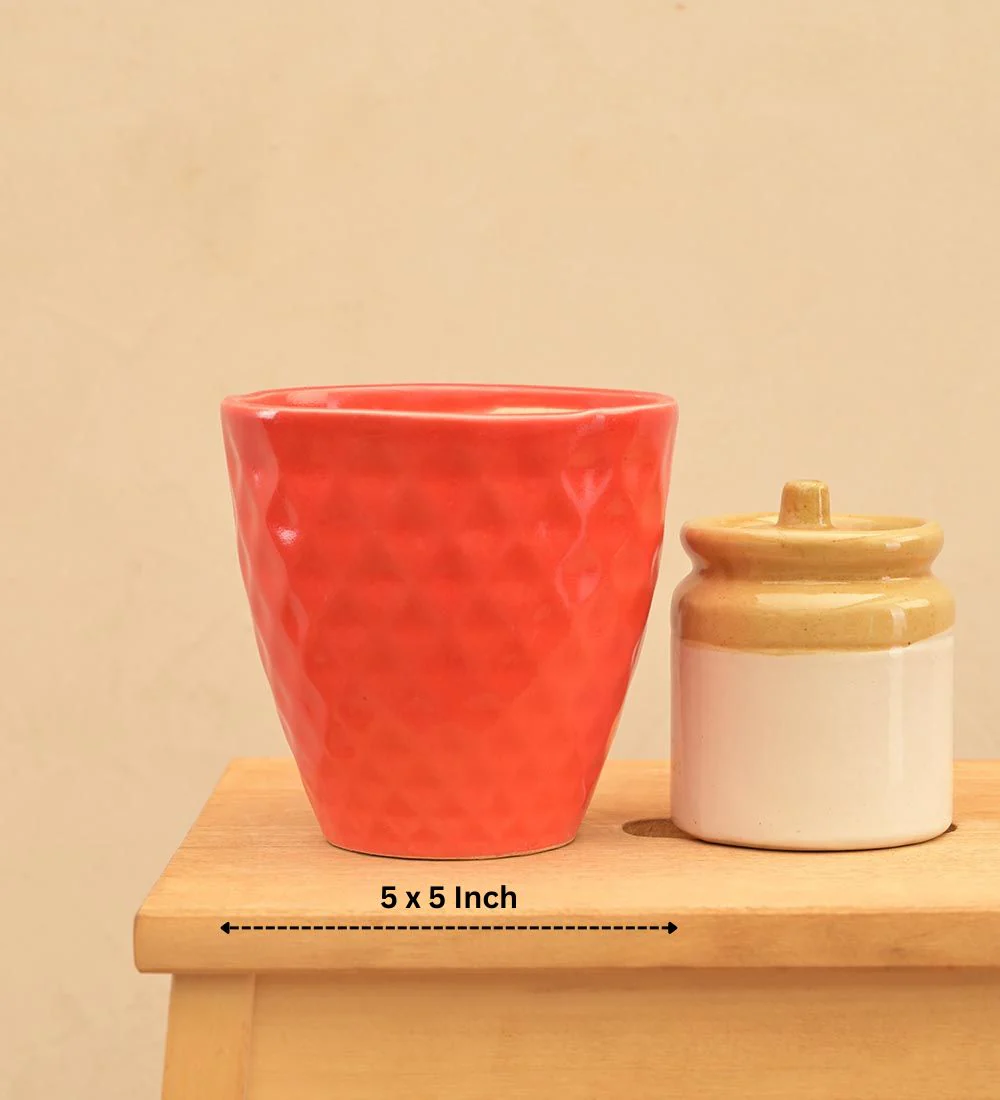 Firecracker Ceramic Planter - Image 11