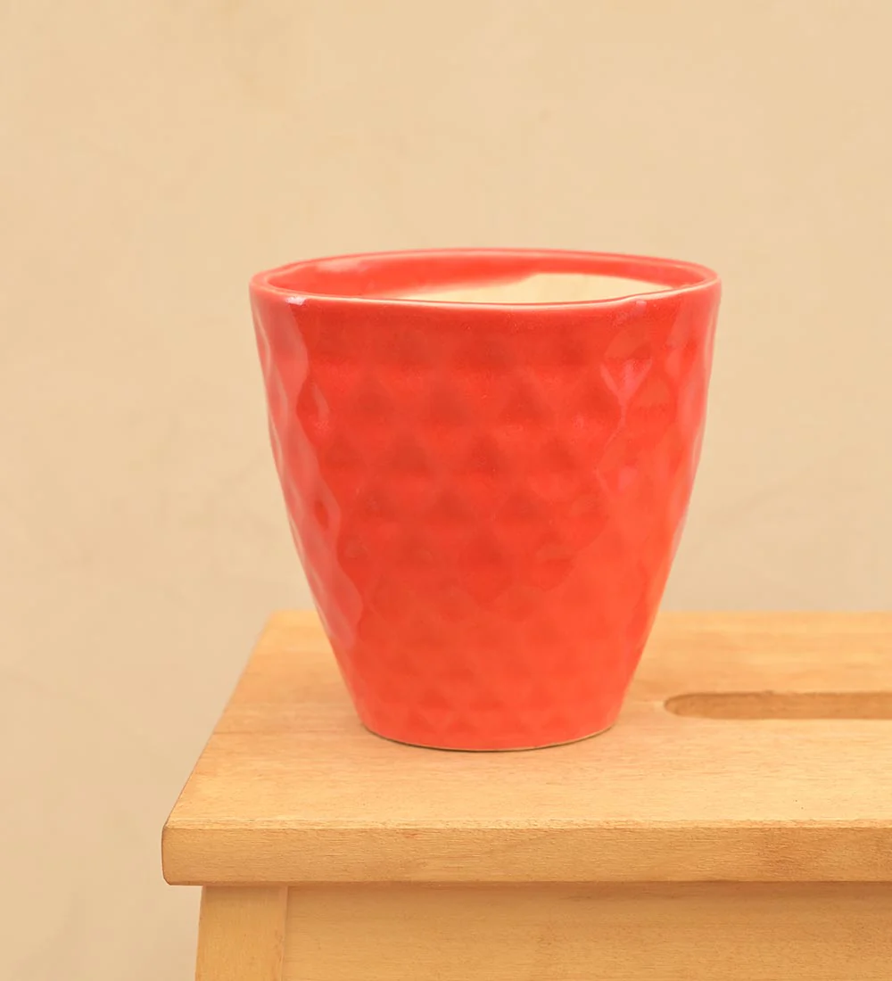 Firecracker Ceramic Planter - Image 12