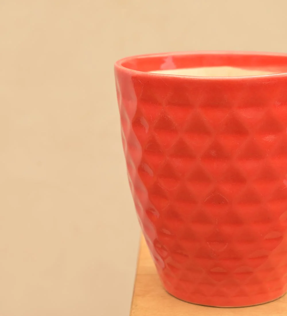 Firecracker Ceramic Planter - Image 14
