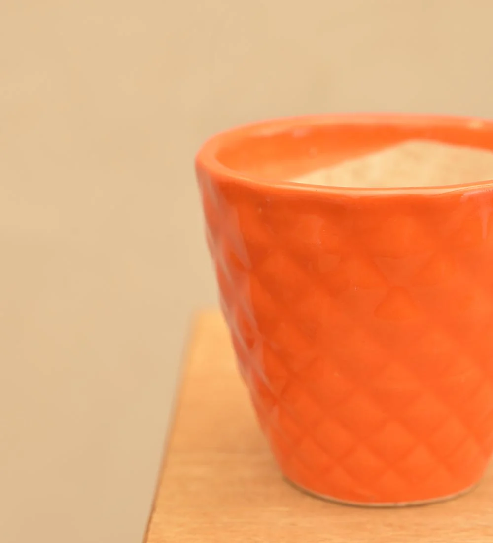 Firecracker Ceramic Planter - Image 18